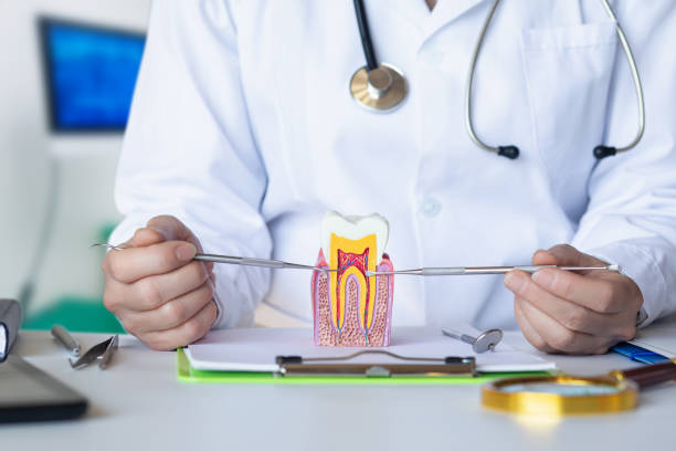 Best Pediatric Emergency Dentist in Cheboygan, MI